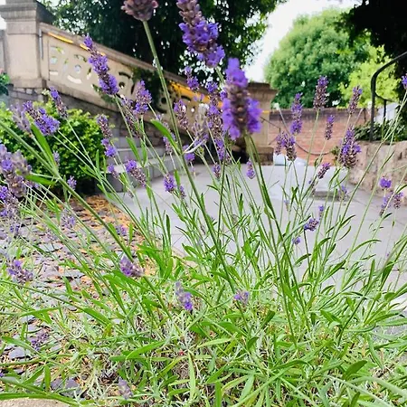 Frühstückspension Ferndale Mews 4*